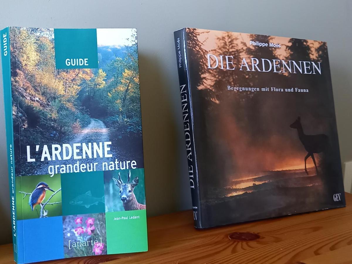 فيلا Gite Citadin 3 Epis "Carpe Diem" باستونيا المظهر الخارجي الصورة
